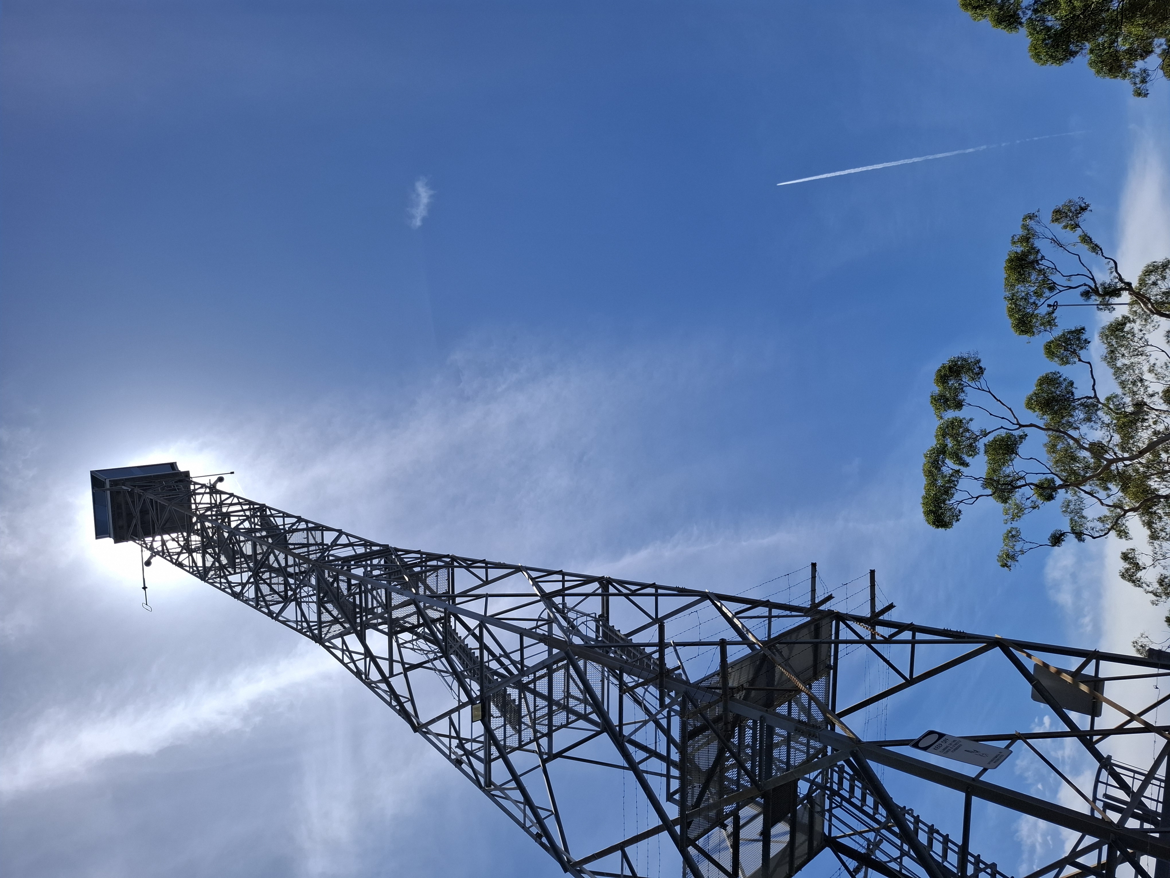 Berowra Fire Tower from the slip road.